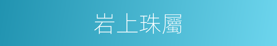 岩上珠屬的同義詞