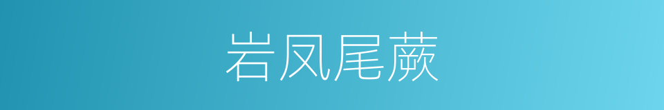 岩凤尾蕨的同义词