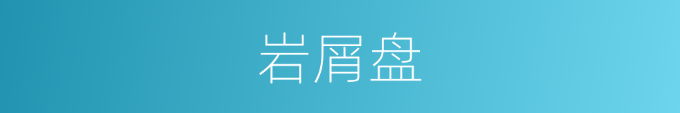 岩屑盘的同义词