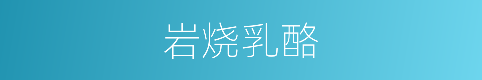 岩烧乳酪的同义词