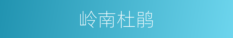 岭南杜鹃的同义词