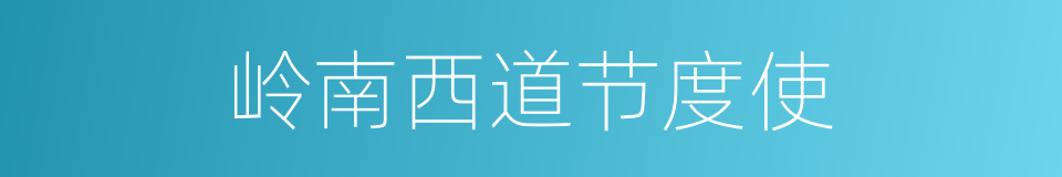 岭南西道节度使的同义词
