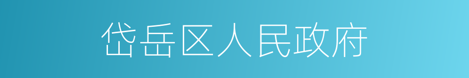 岱岳区人民政府的同义词