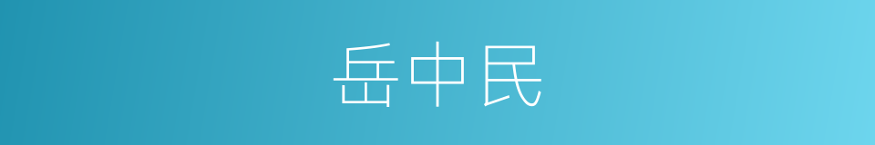 岳中民的同义词