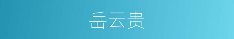 岳云贵的同义词