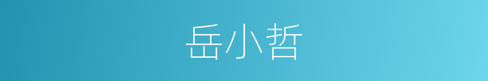 岳小哲的同义词