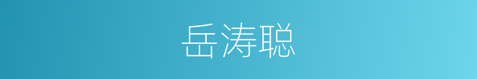 岳涛聪的同义词