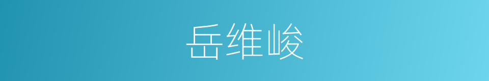 岳维峻的同义词