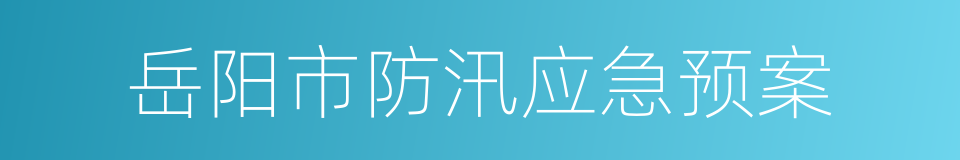 岳阳市防汛应急预案的同义词