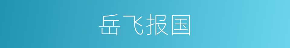 岳飞报国的同义词