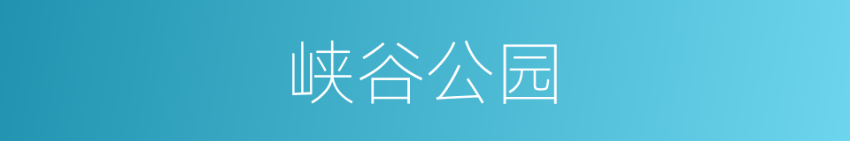 峡谷公园的同义词