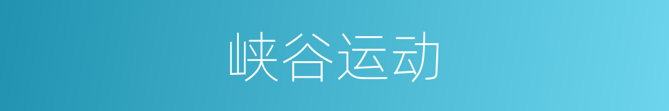 峡谷运动的同义词