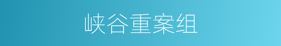 峡谷重案组的同义词