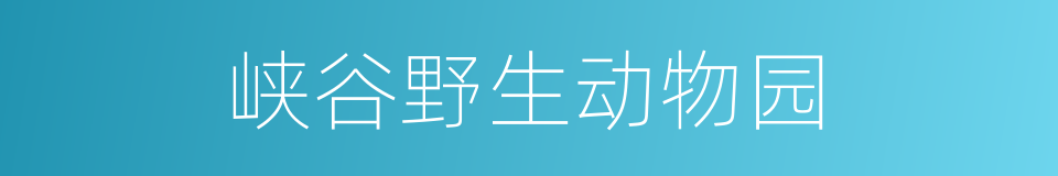 峡谷野生动物园的同义词