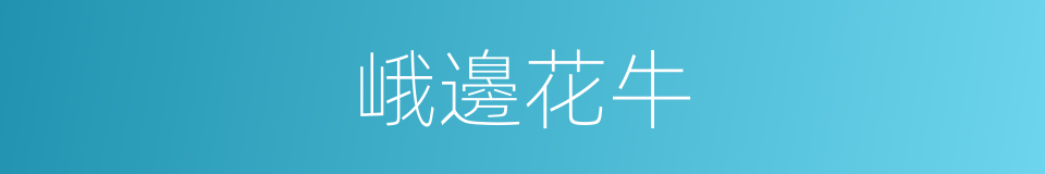 峨邊花牛的同義詞