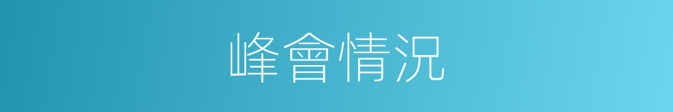 峰會情況的同義詞