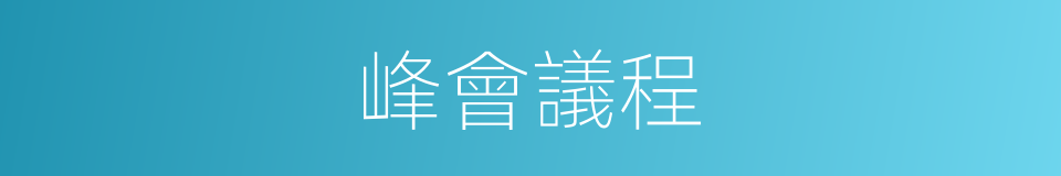 峰會議程的同義詞