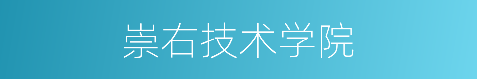 崇右技术学院的同义词