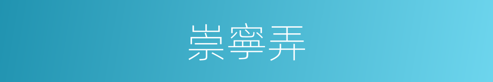 崇寧弄的同義詞