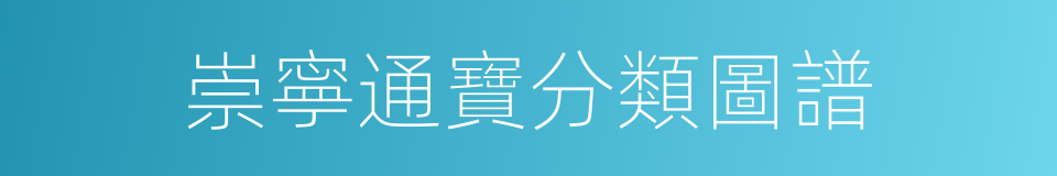 崇寧通寶分類圖譜的同義詞