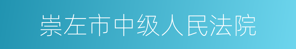 崇左市中级人民法院的同义词