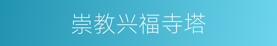 崇教兴福寺塔的同义词