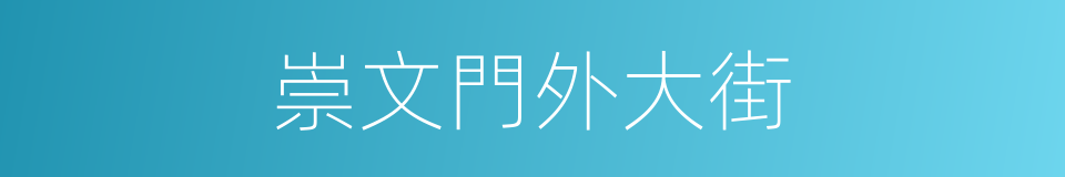 崇文門外大街的同義詞