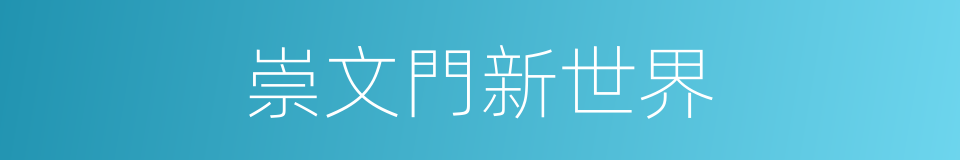 崇文門新世界的同義詞