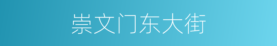 崇文门东大街的同义词