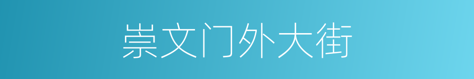 崇文门外大街的同义词