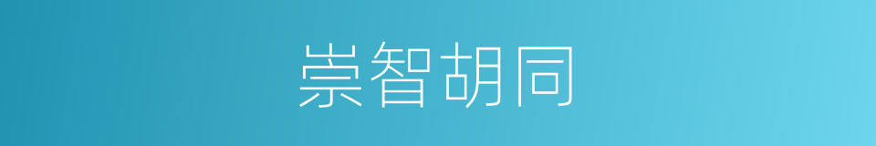 崇智胡同的同义词