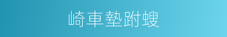 崎車墊跗螋的同義詞