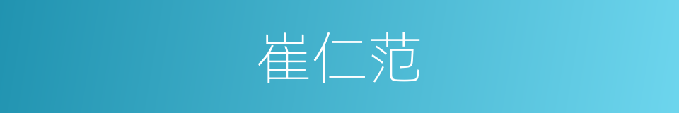 崔仁范的同义词