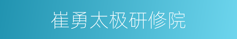 崔勇太极研修院的同义词