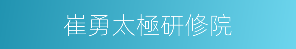 崔勇太極研修院的同義詞