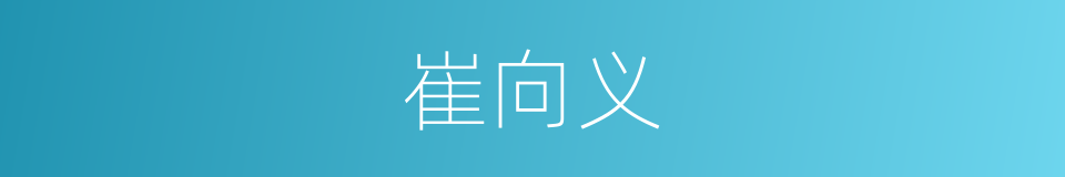 崔向义的同义词