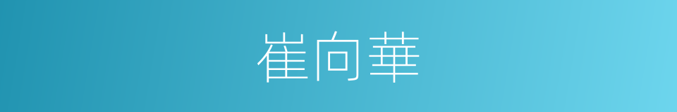 崔向華的同義詞