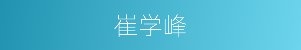 崔学峰的同义词