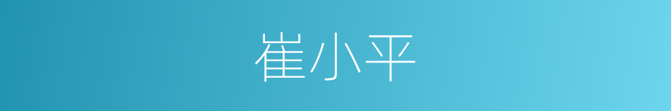 崔小平的同义词