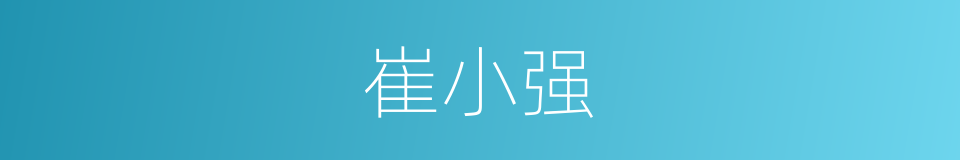崔小强的同义词