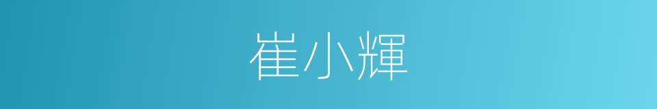 崔小輝的同義詞