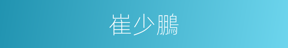 崔少鵬的同義詞