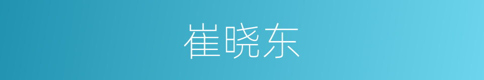 崔晓东的同义词