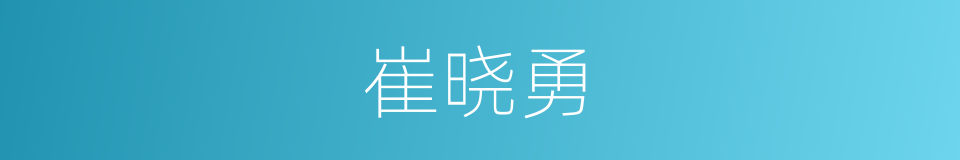 崔晓勇的同义词