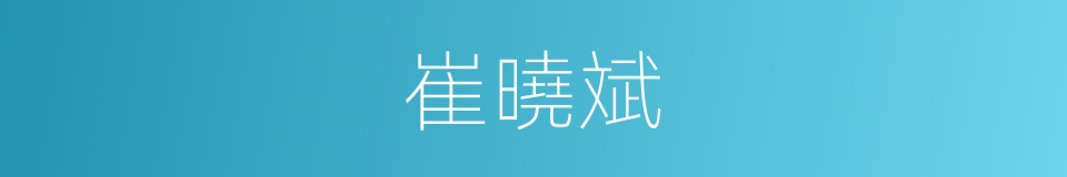 崔曉斌的同義詞