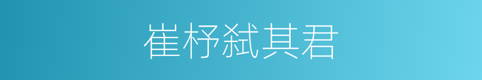崔杼弑其君的同义词