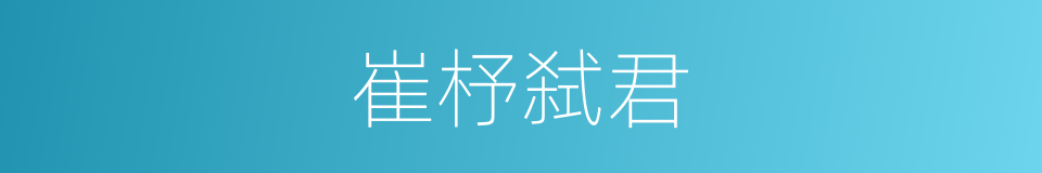 崔杼弑君的同义词