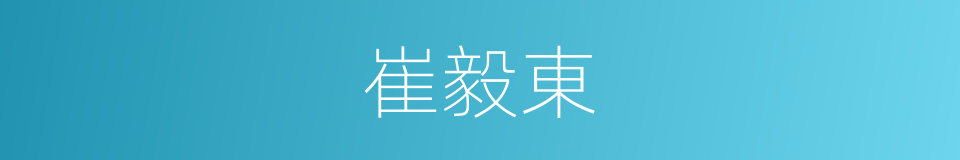 崔毅東的同義詞