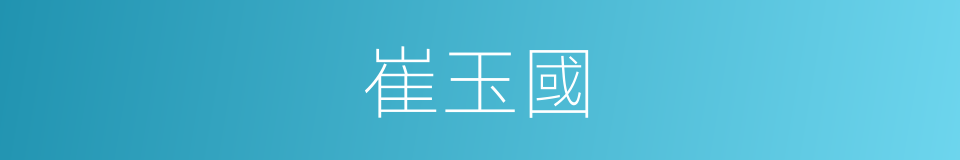 崔玉國的同義詞