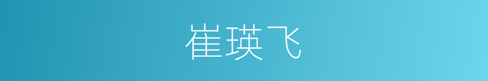 崔瑛飞的同义词